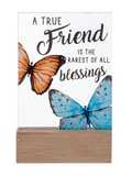 A True Friend Is The Rarest Of All Blessings Glass Block