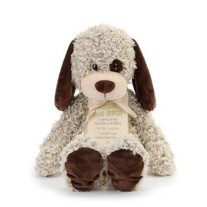 Gift from the New Kid: Big Brother Plush Puppy by Demdaco Giving Collection