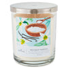 Hallmark Sea Salt Vanilla 3-Wick Jar Candle, 16 oz.