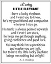 Lucky Little Elephant Pocket Token Charm