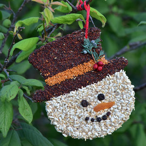 Mr. Bird Frosty Snowman Christmas Cookie Bird Seed Ornament