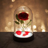 Disney Beauty & The Beast Enchanted Rose in Jar Lights Up