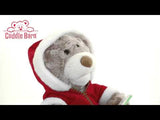 Cuddle Barn 10" Storytime Teddie Reads "Twas the Night Before Christmas"
